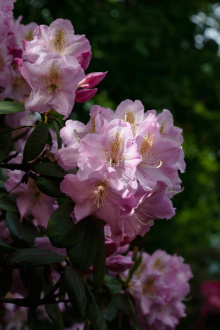 34_7769.jpg