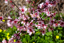 26_9500.jpg