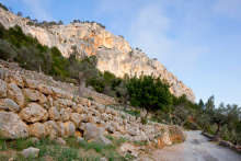 74_9723.jpg