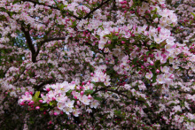 36_7632.jpg