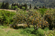 46_6990_a.jpg